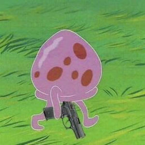 Meet your Posher, Rayne